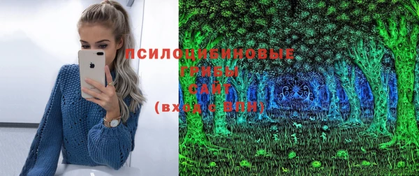 соль ск Слюдянка