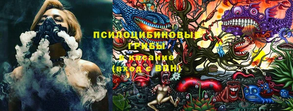 молекула духа Алексин